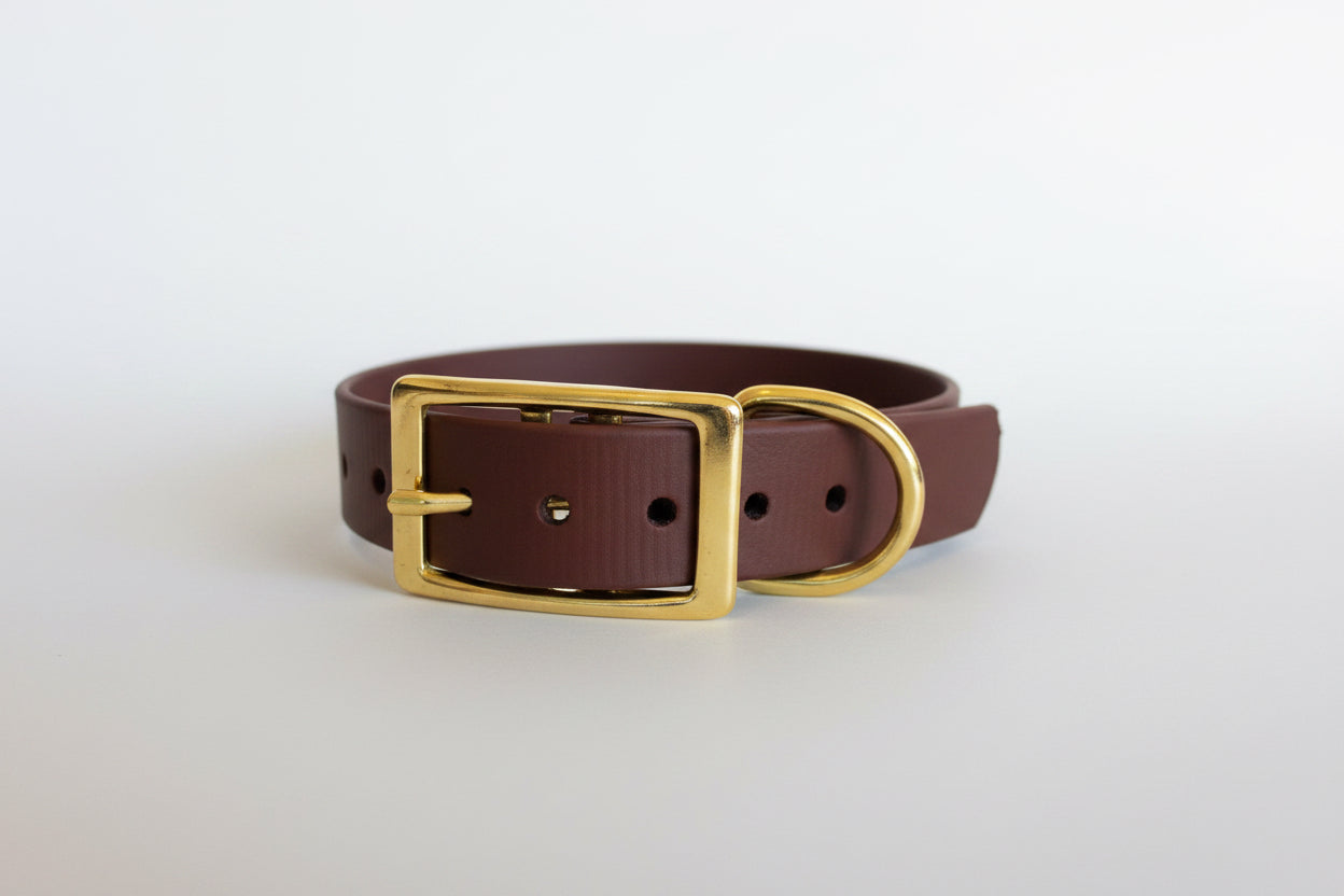 Halsband - 19mm