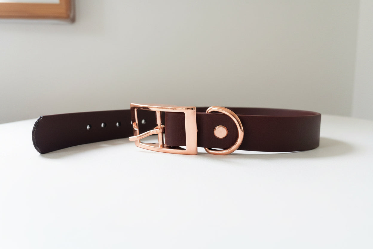 Halsband - 25mm