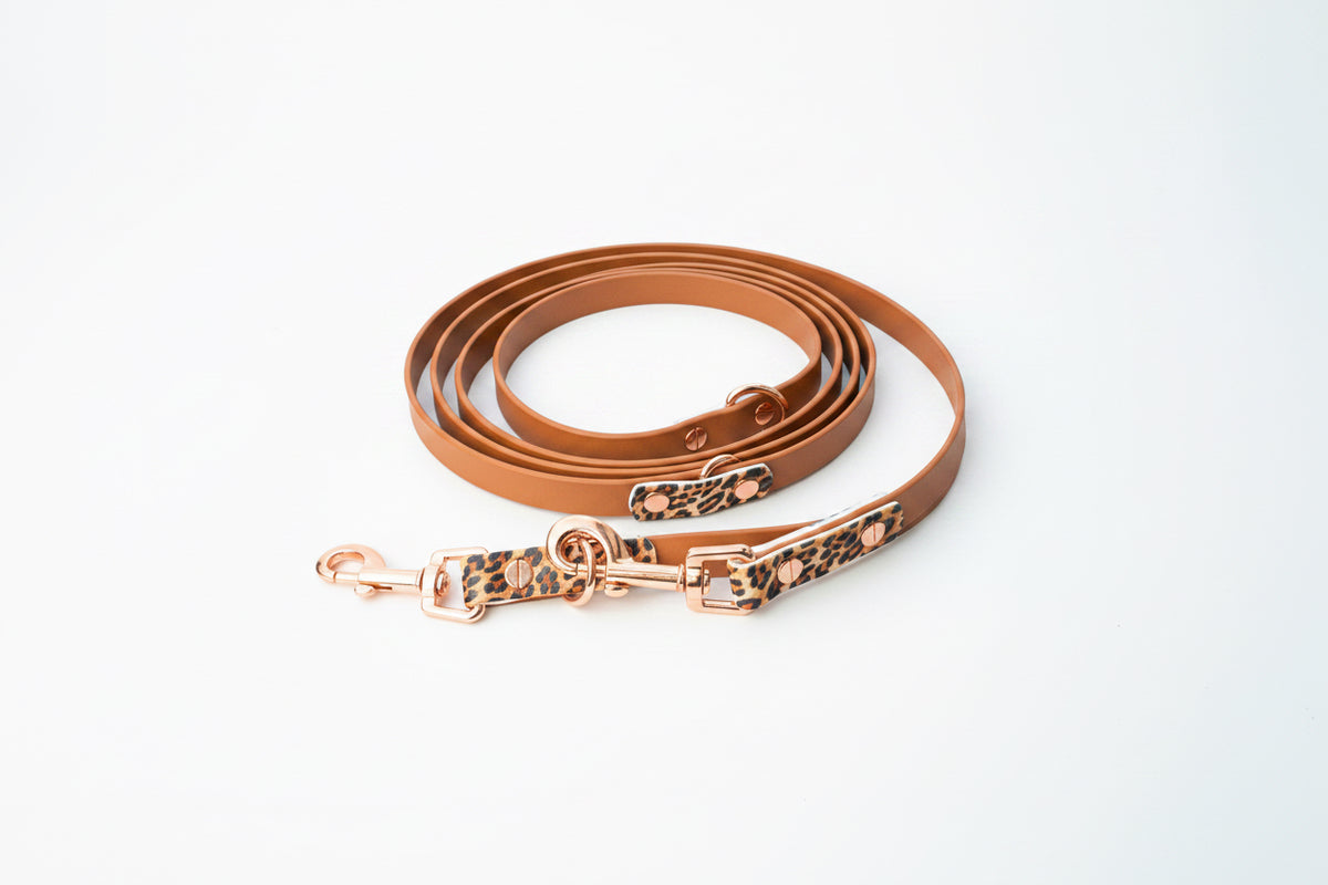 Leopard Leine 19mm, 3-fach verstellbar
