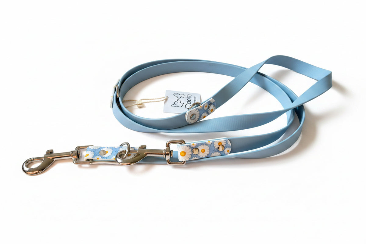 Daisy Gänseblümchen Pastellblau Biothaneleine