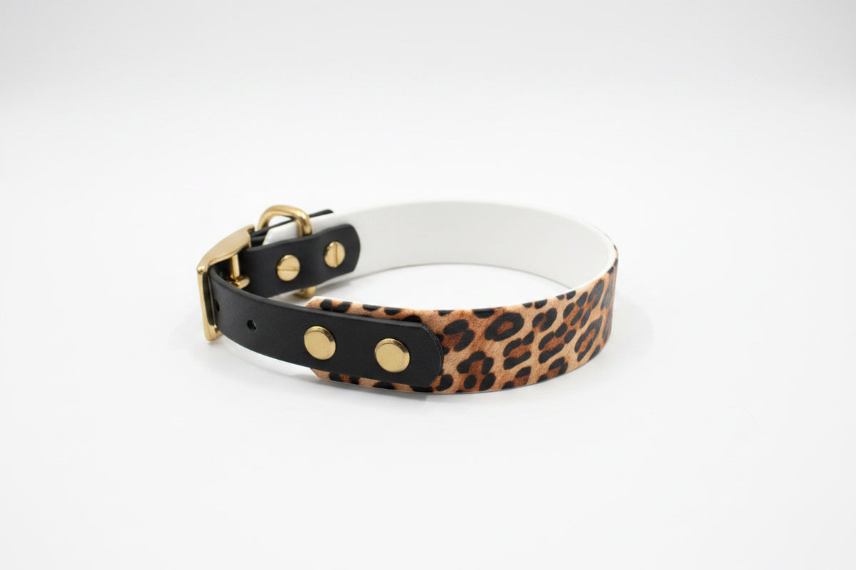 Leopard Halsband 25mm