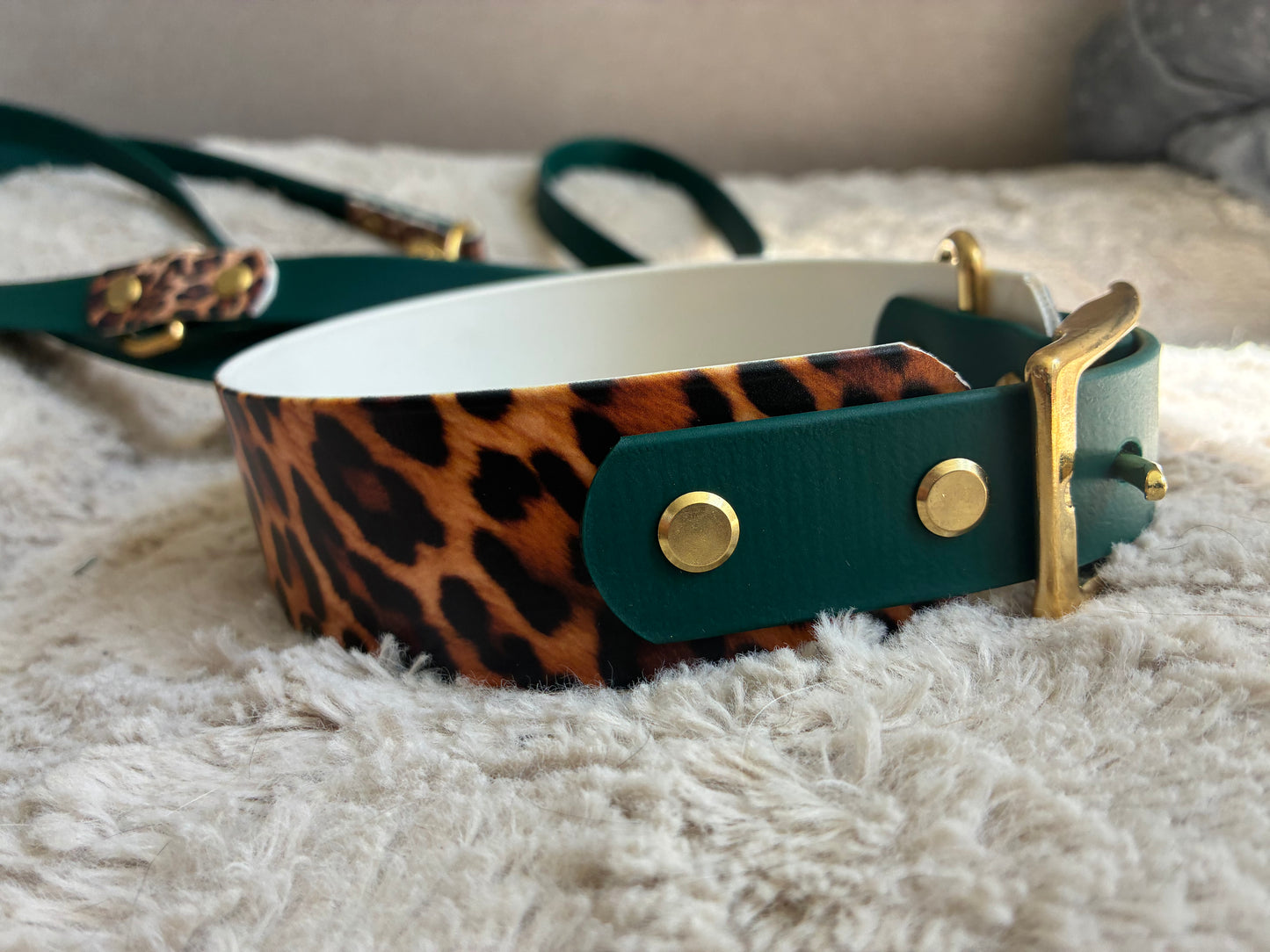 Leopard Halsband 25mm