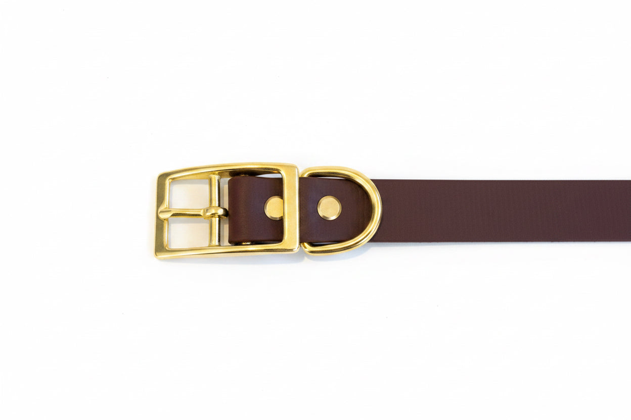 Halsband - 25mm