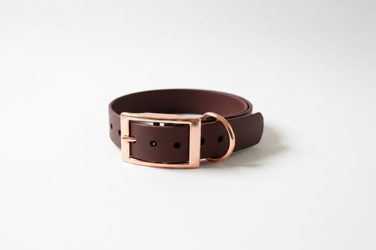 Halsband - 19mm