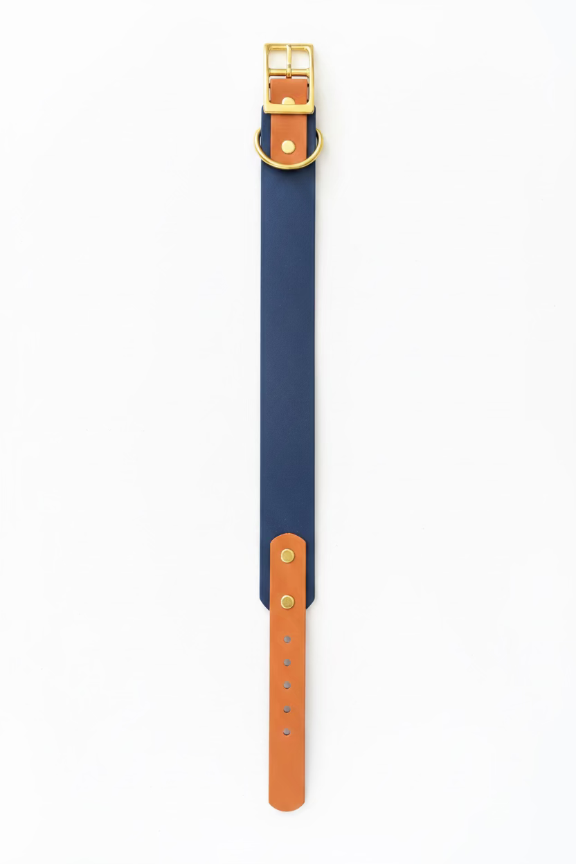 Zweifarbiges Halsband 38mm
