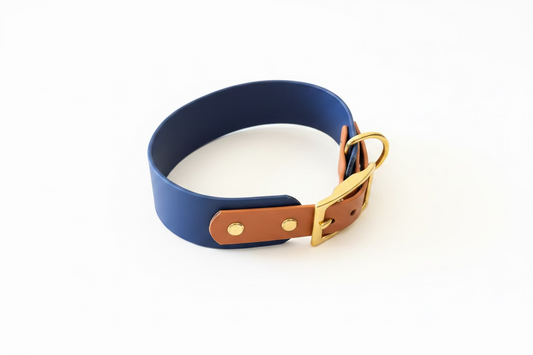 Zweifarbiges Halsband 38mm