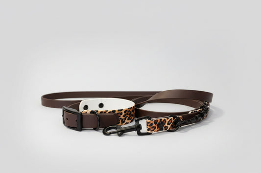 Leopard Halsband 38mm